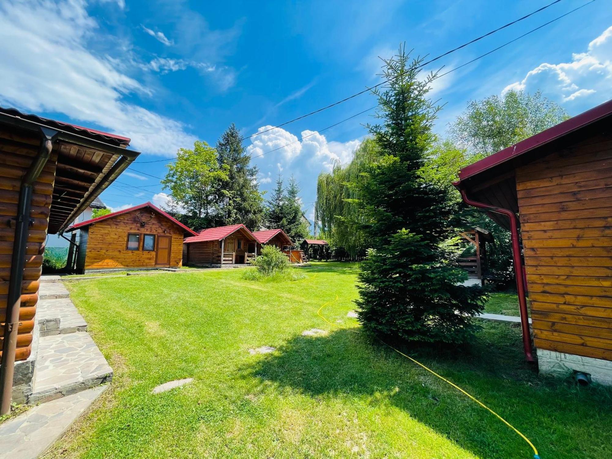 Hotel Pensiunea Ioana Borşa Exteriér fotografie