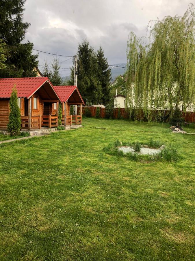 Pensiunea Ioana Borşa Exteriér fotografie