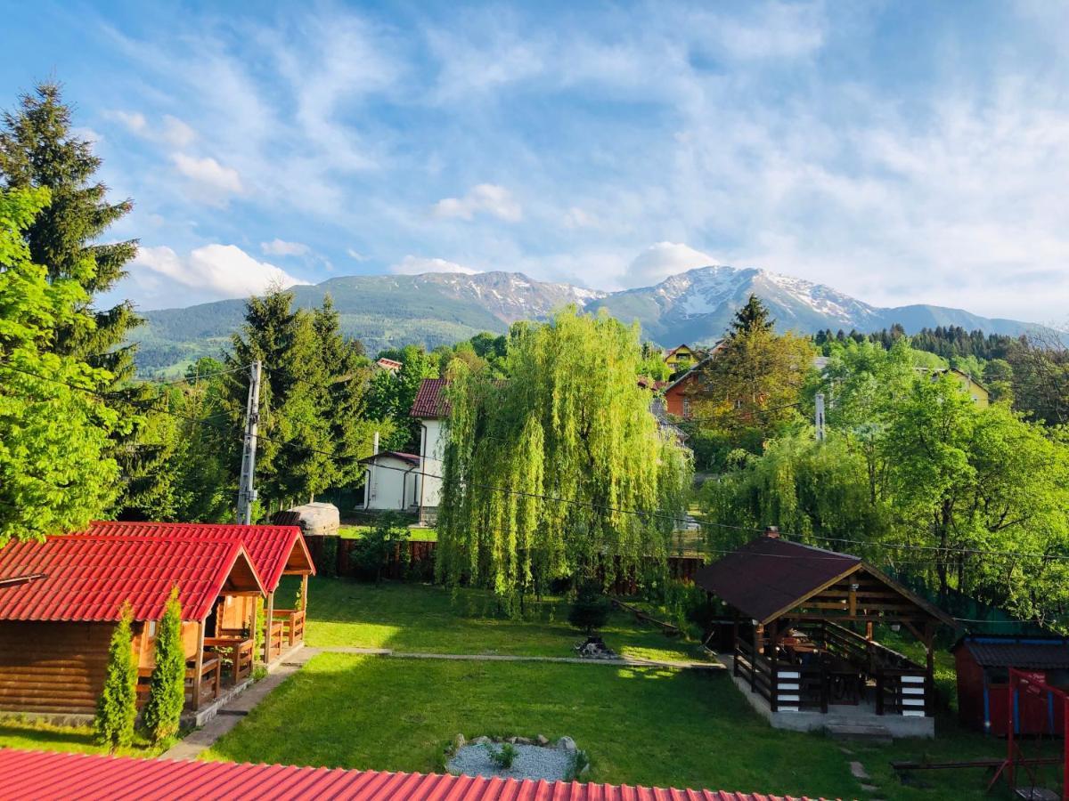 Hotel Pensiunea Ioana Borşa Exteriér fotografie